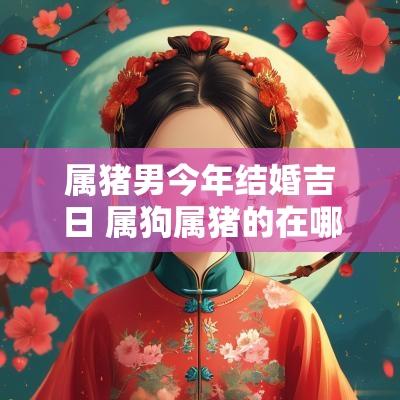 属猪男今年结婚吉日 属狗属猪的在哪年结婚吉日