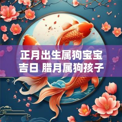 正月出生属狗宝宝吉日 腊月属狗孩子出生吉时吉日