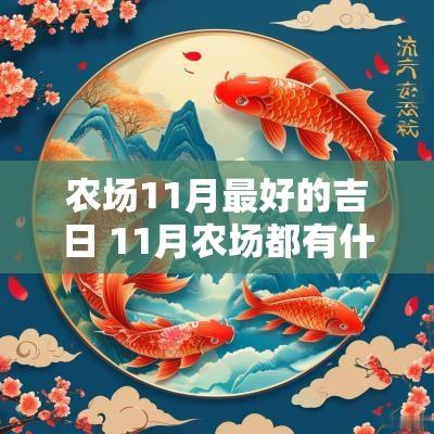 农场11月最好的吉日 11月农场都有什么玩的
