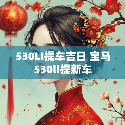 530LI提车吉日 宝马530li提新车