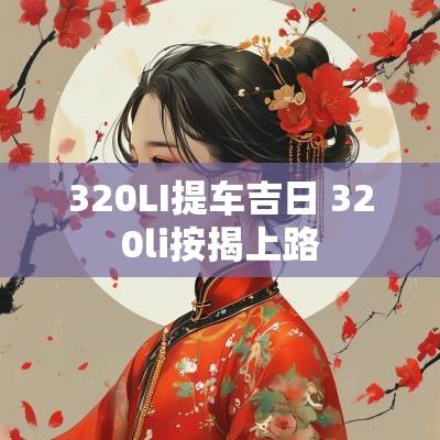 320LI提车吉日 320li按揭上路