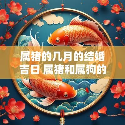 属猪的几月的结婚吉日 属猪和属狗的结婚吉日