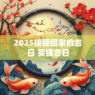 2025接猫回家的吉日 买猫吉日
