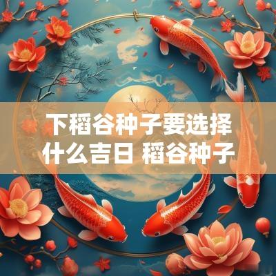 下稻谷种子要选择什么吉日 稻谷种子在什么时间撒下最好呢