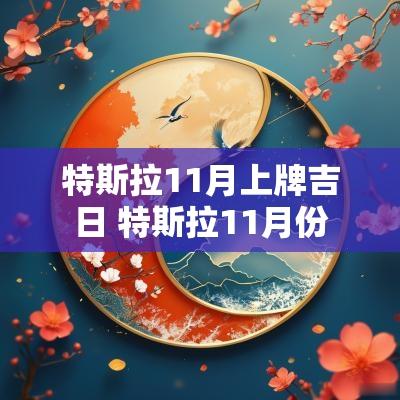 特斯拉11月上牌吉日 特斯拉11月份