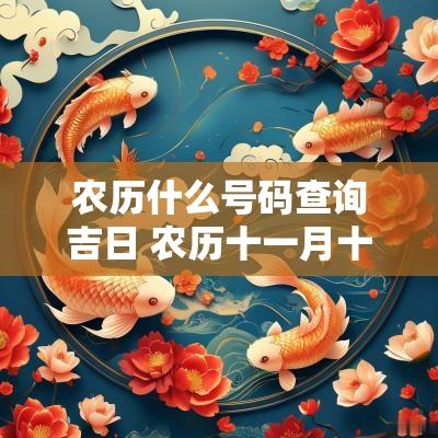 农历什么号码查询吉日 农历十一月十三吉日查询