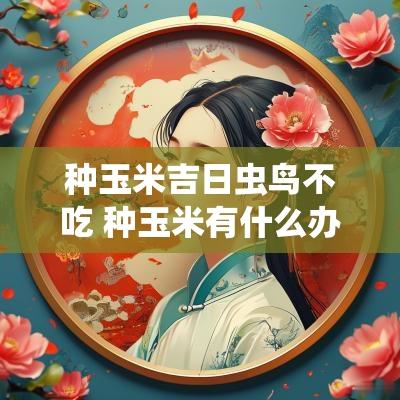 种玉米吉日虫鸟不吃 种玉米有什么办法不让小鸟吃