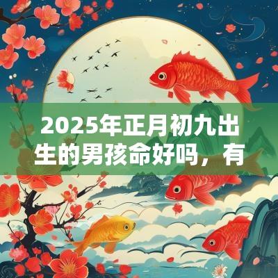 2025年正月初九出生的男孩命好吗，有福气吗？