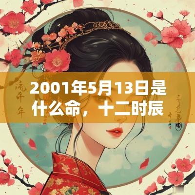 2001年5月13日是什么命，十二时辰出生命运详解
