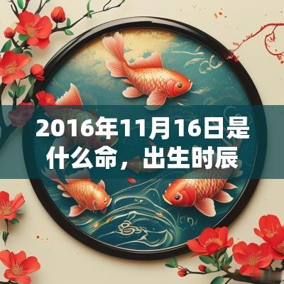 2016年11月16日是什么命,出生时辰看一生命运 2016年11月16日是什么命,出生时辰看一生命运