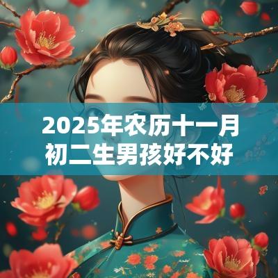 2025年农历十一月初二生男孩好不好？宝宝富贵安康吗？
