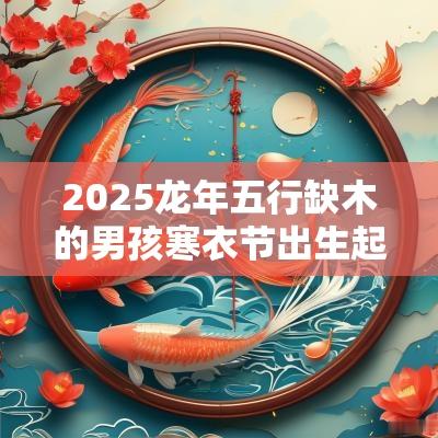 2025蛇年五行缺木的男孩寒衣节出生起名大全