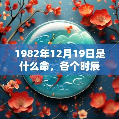 1982年12月19日是什么命,各个时辰出生的人的命运 1982年12月19日是什么命,各个时辰出生的人的命运