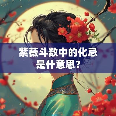 紫薇斗数中的化忌是什意思？