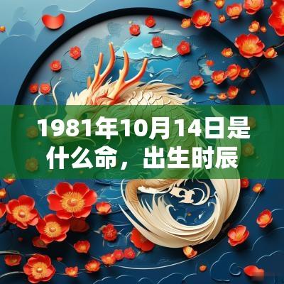 1981年10月14日是什么命,出生时辰看一生命运 1981年10月14日是什么命,出生时辰看一生命运