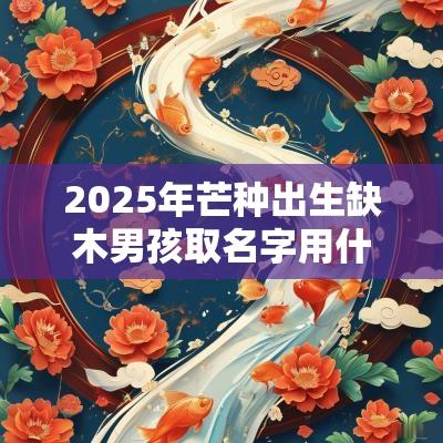 2025年芒种出生缺木男孩取名字用什么字吉利? 2025年芒种出生缺木男孩取名字用什么字吉利?