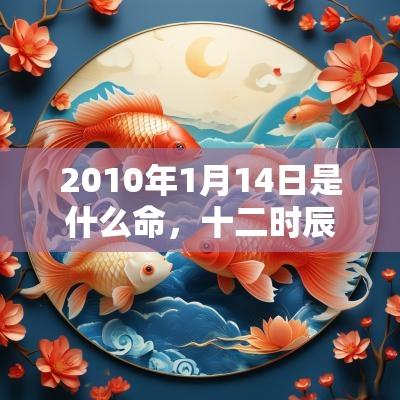 2010年1月14日是什么命，十二时辰出生命运详解