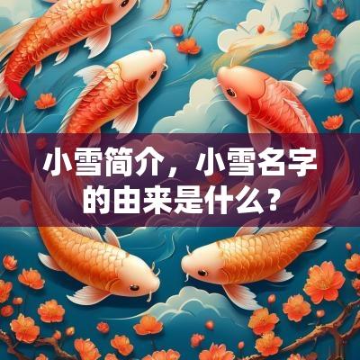 小雪简介，小雪名字的由来是什么？