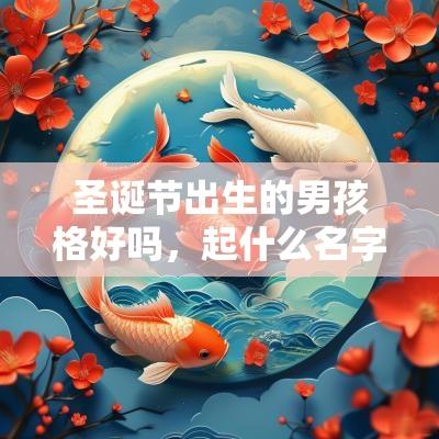 圣诞节出生的男孩格好吗，起什么名字合适