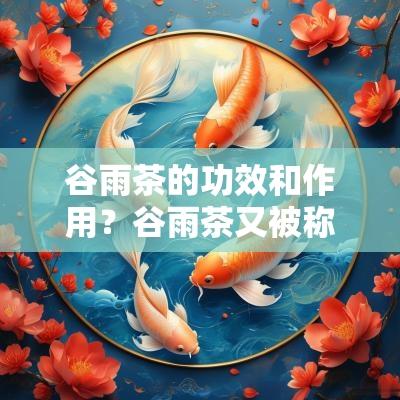 谷雨茶的功效和作用？谷雨茶又被称为什么茶？