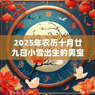 2025年农历十月廿九日小雪出生的男宝宝运势好吗？命理解析