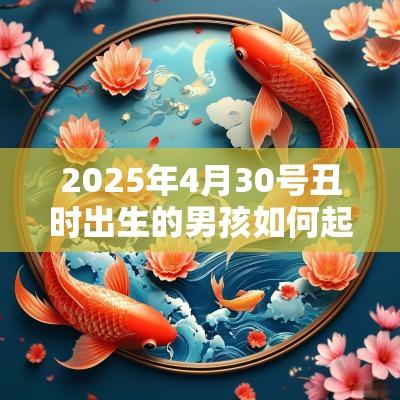 2026年4月30号丑时出生的男孩如何起名