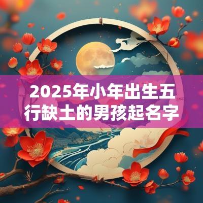 2025年小年出生五行缺土的男孩起名字大全 2025年小年出生五行缺土的男孩起名字大全