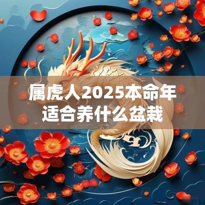 属虎人2025本命年适合养什么盆栽