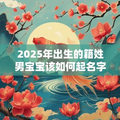 2025年出生的籍姓男宝宝该如何起名字,宜用什么字。 2025年出生的籍姓男宝宝该如何起名字,宜用什么字。
