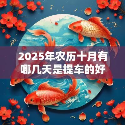 2025年农历十月有哪几天是提车的好时间?需要注意什么? 2025年农历十月有哪几天是提车的好时间?需要注意什么?