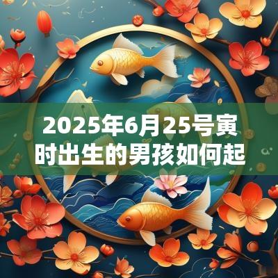 2025年6月25号寅时出生的男孩如何起名 2025年6月25号寅时出生的男孩如何起名
