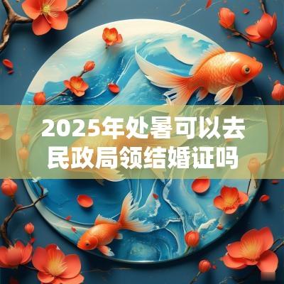 2025年处暑可以去民政局领结婚证吗？领证要注意什么？