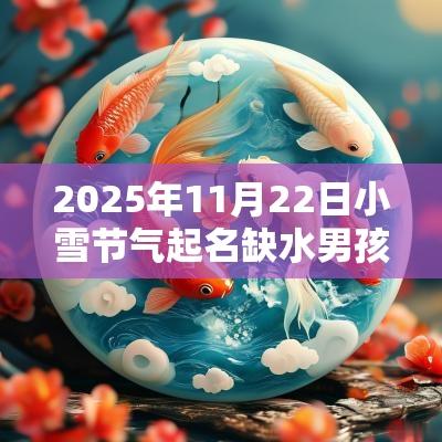 2025年11月22日小雪节气起名缺水男孩名字大全 2025年11月22日小雪节气起名缺水男孩名字大全
