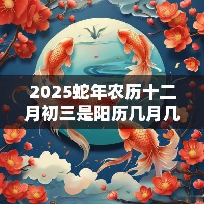 2025蛇年农历十二月初三是阳历几月几号星期几? 2025蛇年农历十二月初三是阳历几月几号星期几?