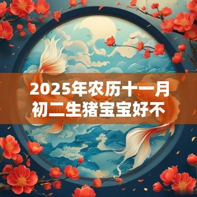 2025年农历十一月初二生猪宝宝好不好?顺利安康吗? 2025年农历十一月初二生猪宝宝好不好?顺利安康吗?