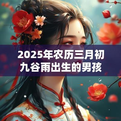 2025年农历三月初九谷雨出生的男孩八字好吗今日五行缺木火取名
