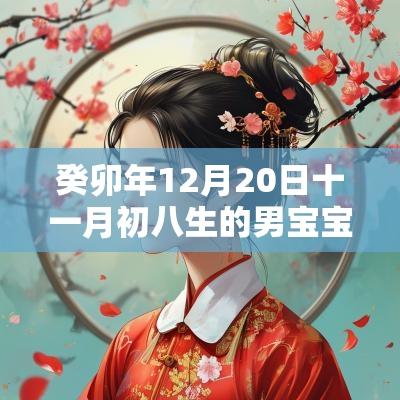 癸卯年12月20日十一月初八生的男宝宝好不好五行缺金土取什么名