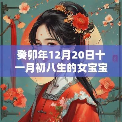 癸卯年12月20日十一月初八生的女宝宝好不好五行缺金火土取什么名
