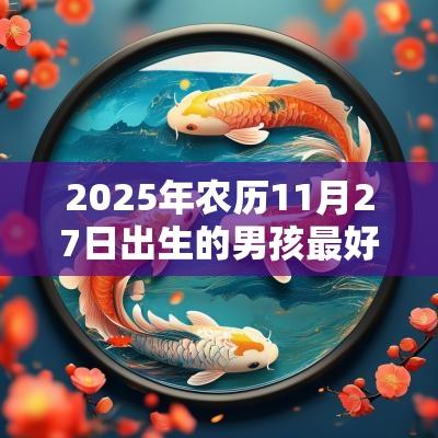 2025年农历11月27日出生的男孩最好听的名字有内涵的男孩名字推荐