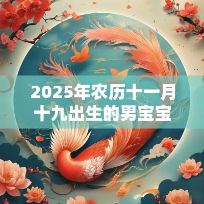 2025年农历十一月十九出生的男宝宝五行查询缺金缺火怎么取名好