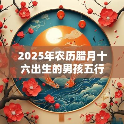 2025年农历腊月十六出生的男孩五行八字解读缺金缺火的起名宜用字