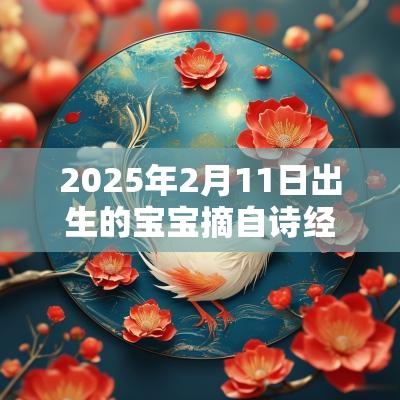 2025年2月11日出生的宝宝摘自诗经的名字取名要搞清楚寓意