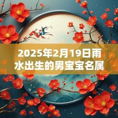 2025年2月19日雨水出生的男宝宝名属蛇2月19日雨水出生的男孩免费名字