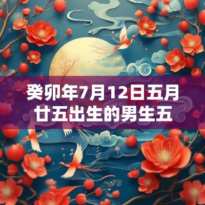 癸卯年7月12日五月廿五出生的男生五行取名气宇轩昂的男宝宝名字