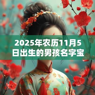 2025年农历11月5日出生的男孩名字宝典大气好听的男孩名字推荐