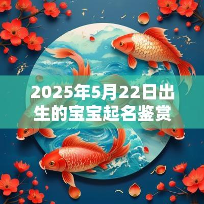 2025年5月22日出生的宝宝起名鉴赏有意义的名字优选大全