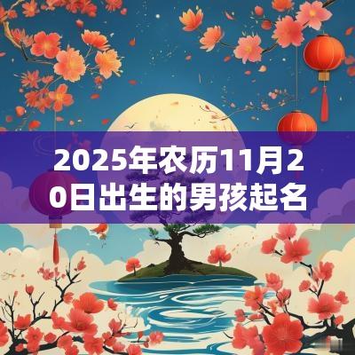 2025年农历11月20日出生的男孩起名鉴赏缺金缺土的名字精选大全