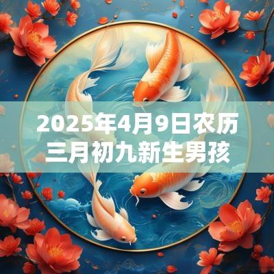 2025年4月9日农历三月初九新生男孩五行八字解读缺火的起名宜用字