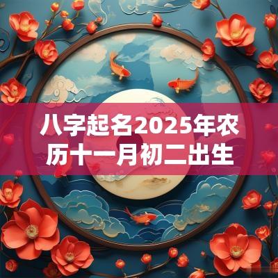 八字起名2026年农历十一月初二出生的男孩缺什么取名如何补土 八字起名2026年农历十一月初二出生的男孩缺什么取名如何补土