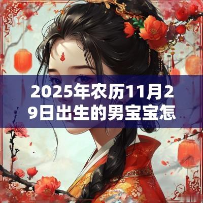 2025年农历11月29日出生的男宝宝怎么取名好听有寓意的名字大全